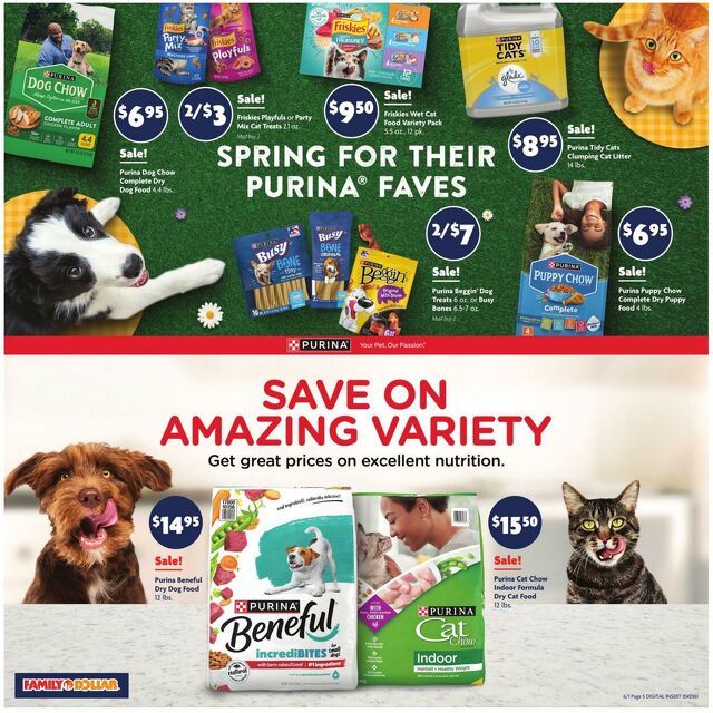 Catalogue Family Dollar from 06/01/2025