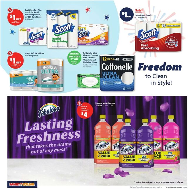 Catalogue Family Dollar from 06/29/2025