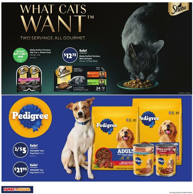 Catalogue Family Dollar from 06/29/2025