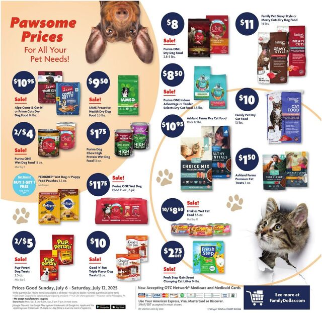 Catalogue Family Dollar from 07/06/2025