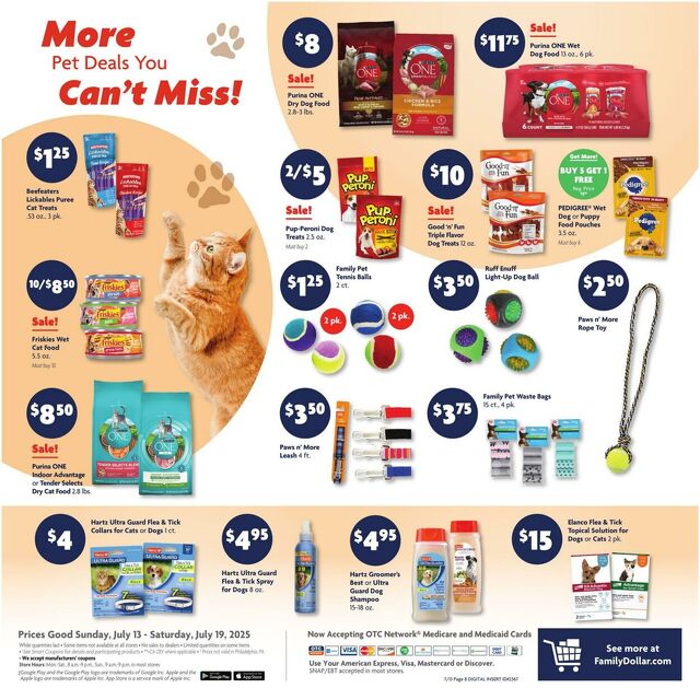 Catalogue Family Dollar from 07/13/2025