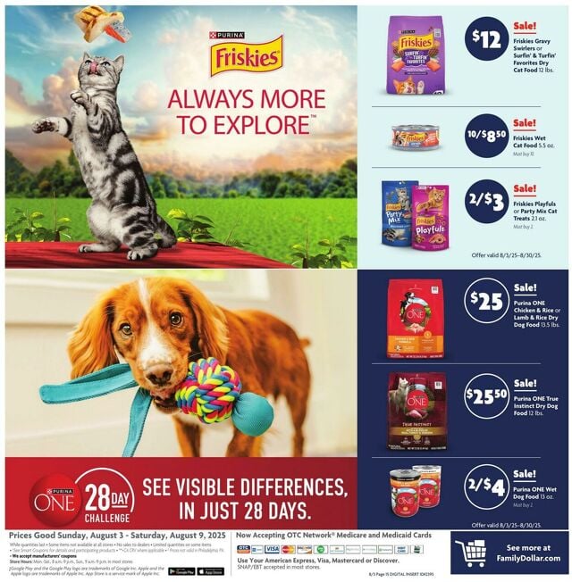 Catalogue Family Dollar from 08/03/2025