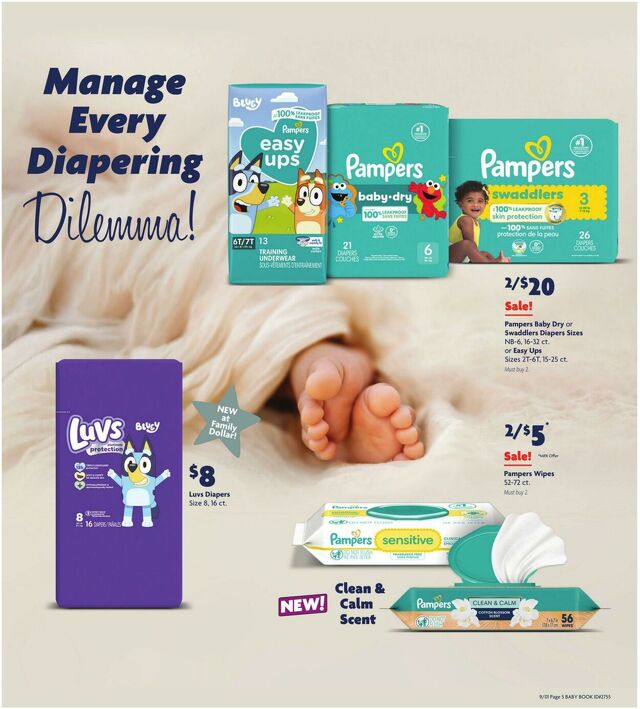 Catalogue Family Dollar from 09/01/2025