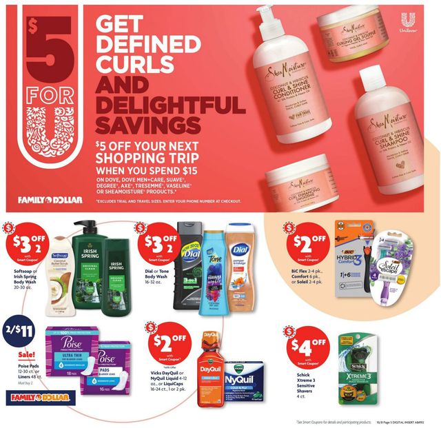 Catalogue Family Dollar from 10/08/2023