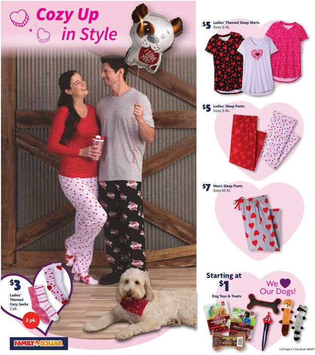 Catalogue Family Dollar from 01/24/2024
