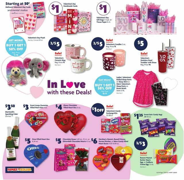 Catalogue Family Dollar from 02/04/2024