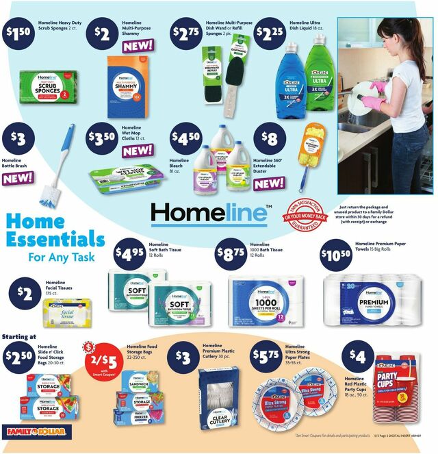 Catalogue Family Dollar from 05/05/2024