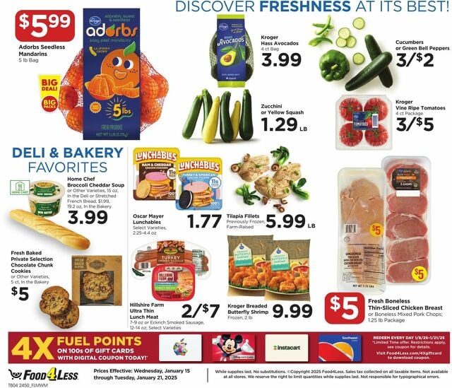 Catalogue Food 4 Less from 01/15/2025