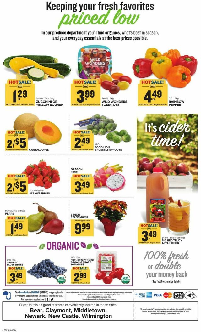 Catalogue Food Lion from 10/16/2024