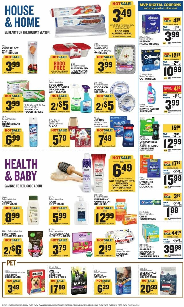 Catalogue Food Lion from 11/13/2024