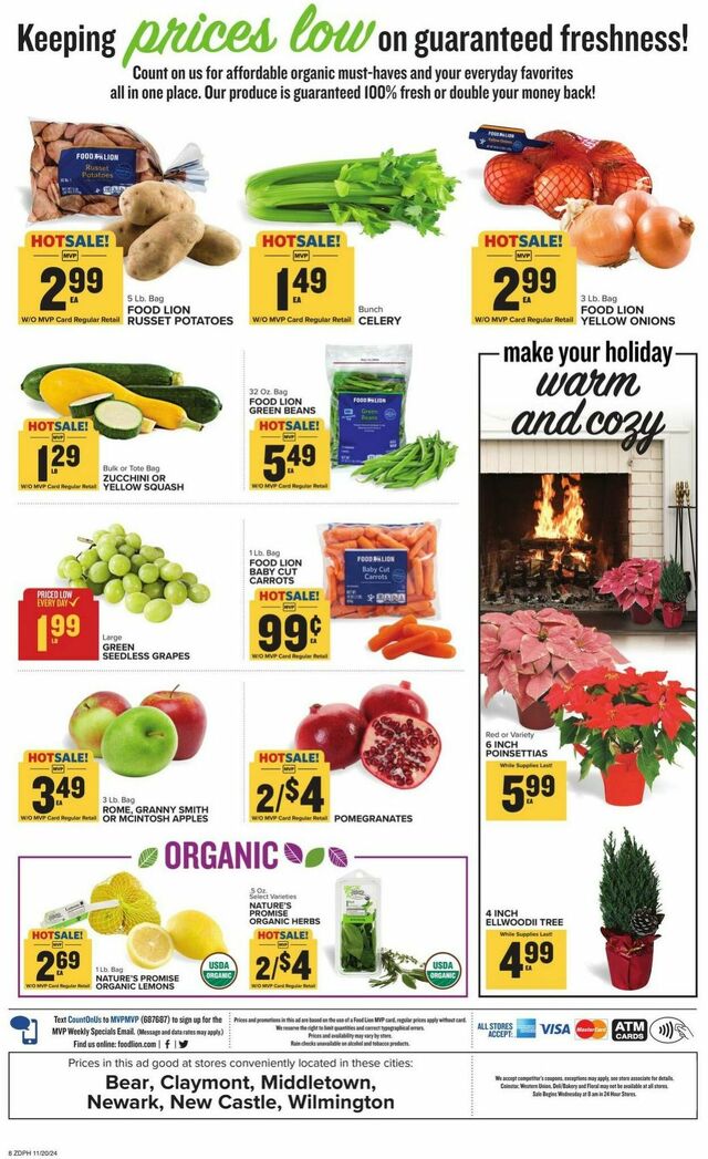 Catalogue Food Lion from 11/20/2024