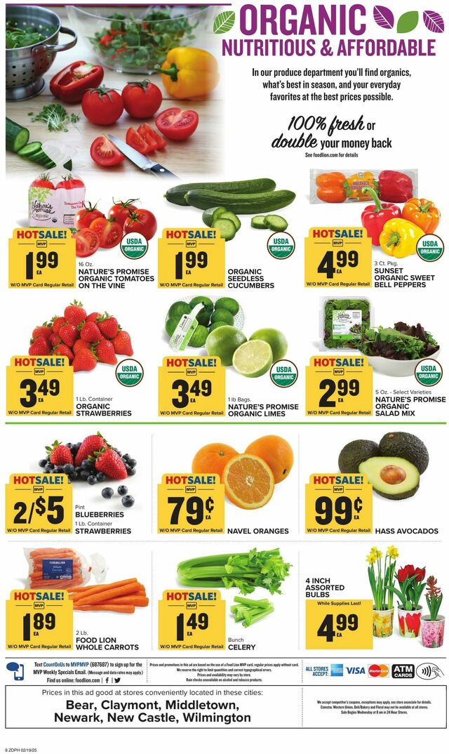 Catalogue Food Lion from 02/19/2025