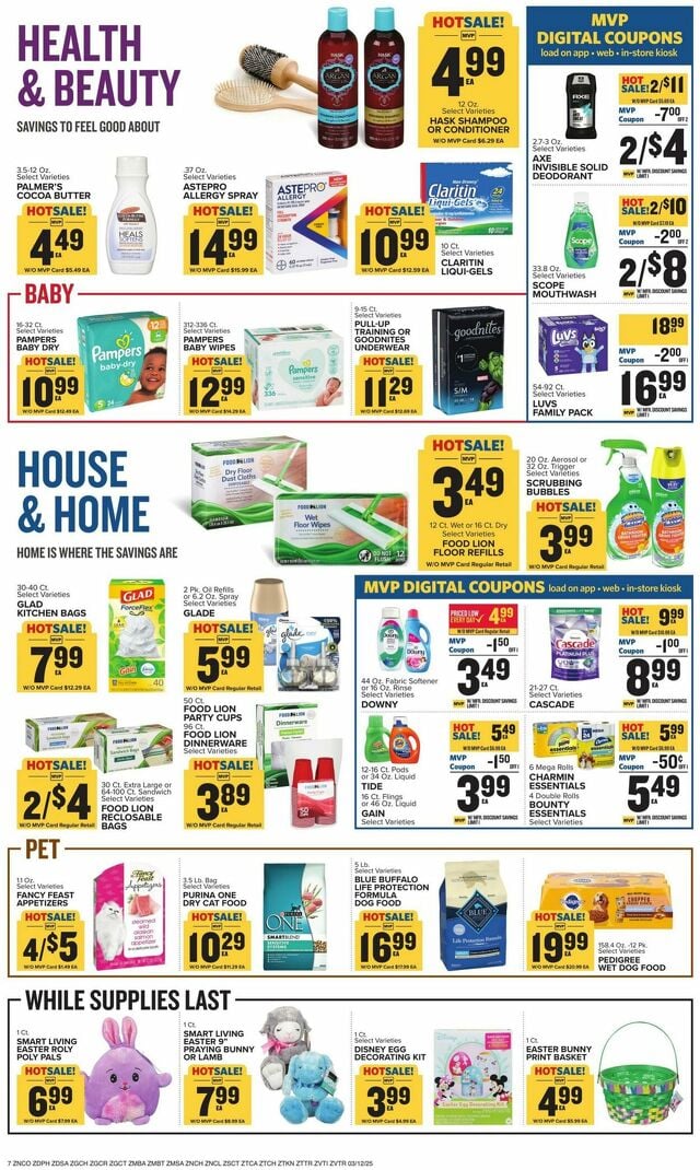 Catalogue Food Lion from 03/12/2025