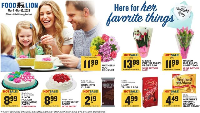 Catalogue Food Lion from 05/07/2025