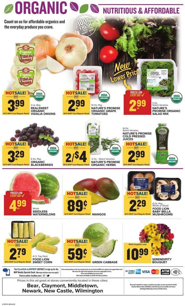 Catalogue Food Lion from 06/04/2025