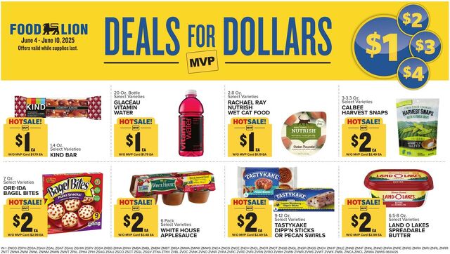 Catalogue Food Lion from 06/04/2025