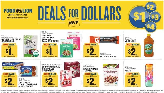 Catalogue Food Lion from 06/11/2025