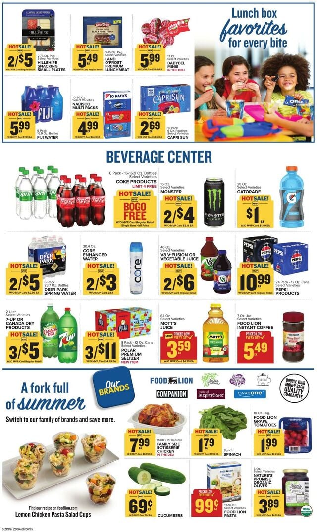 Catalogue Food Lion from 08/06/2025