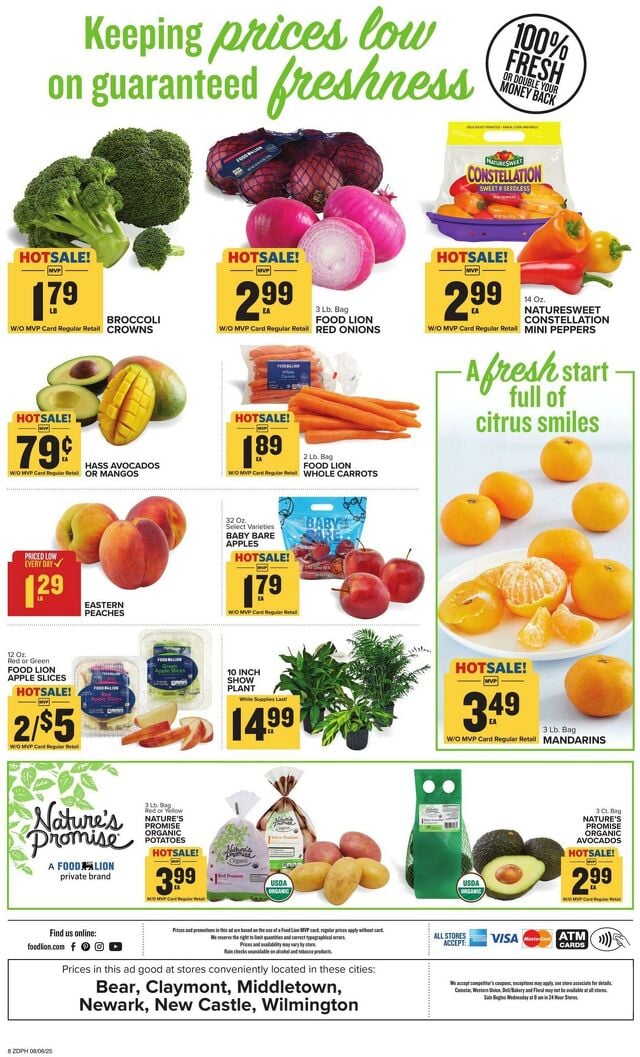Catalogue Food Lion from 08/06/2025