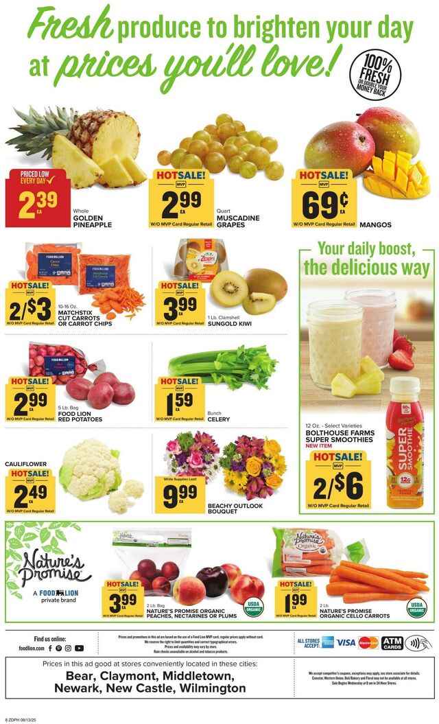 Catalogue Food Lion from 08/13/2025