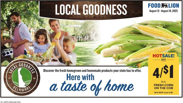 Catalogue Food Lion from 08/13/2025