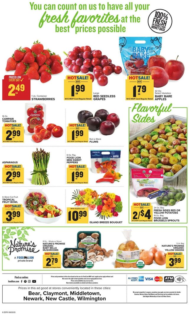 Catalogue Food Lion from 08/20/2025