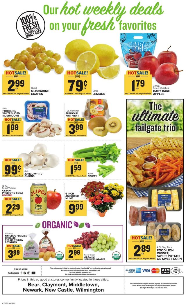 Catalogue Food Lion from 09/03/2025