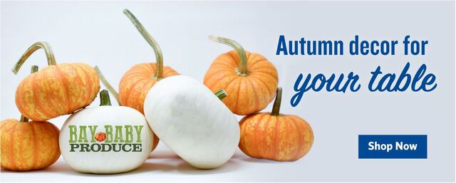 Catalogue Food Lion from 09/24/2025