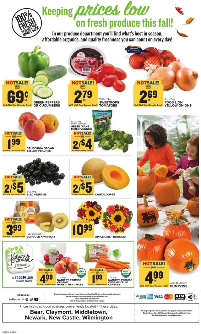 Catalogue Food Lion from 10/08/2025