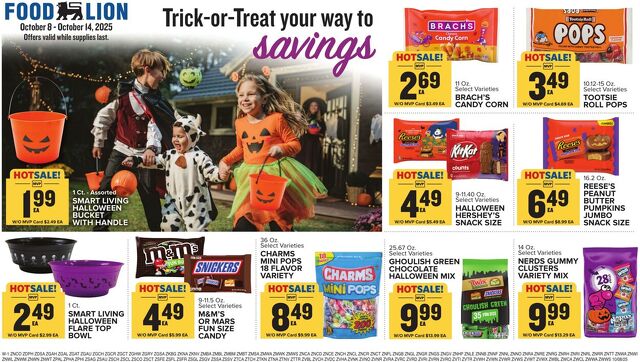 Catalogue Food Lion from 10/08/2025