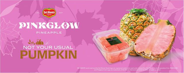 Catalogue Food Lion from 10/15/2025