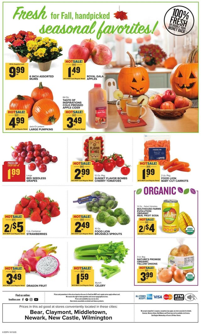 Catalogue Food Lion from 10/15/2025