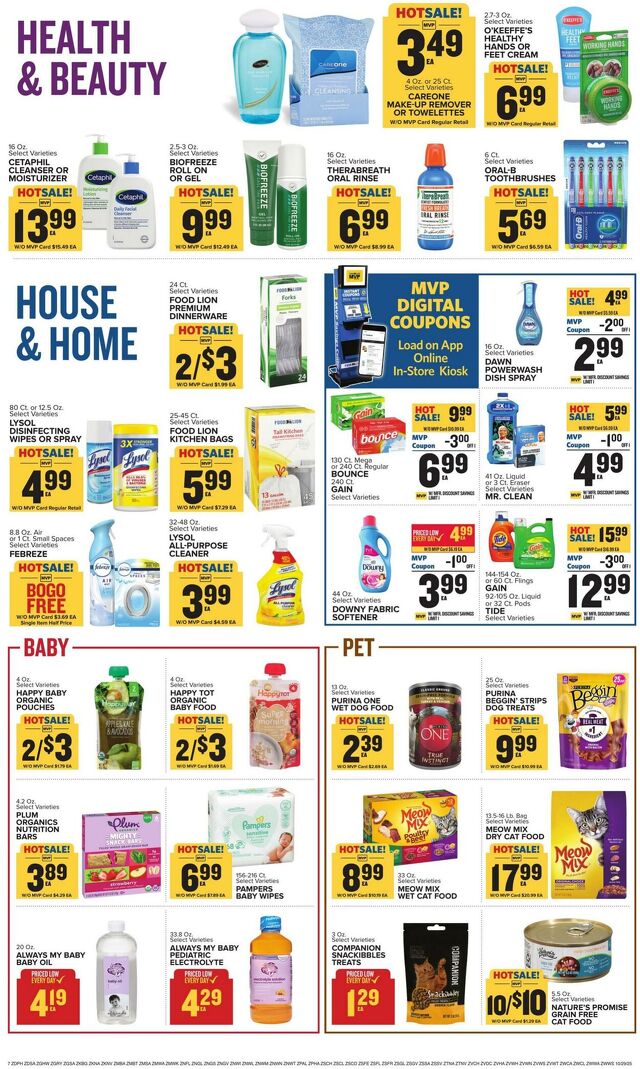 Catalogue Food Lion from 10/29/2025