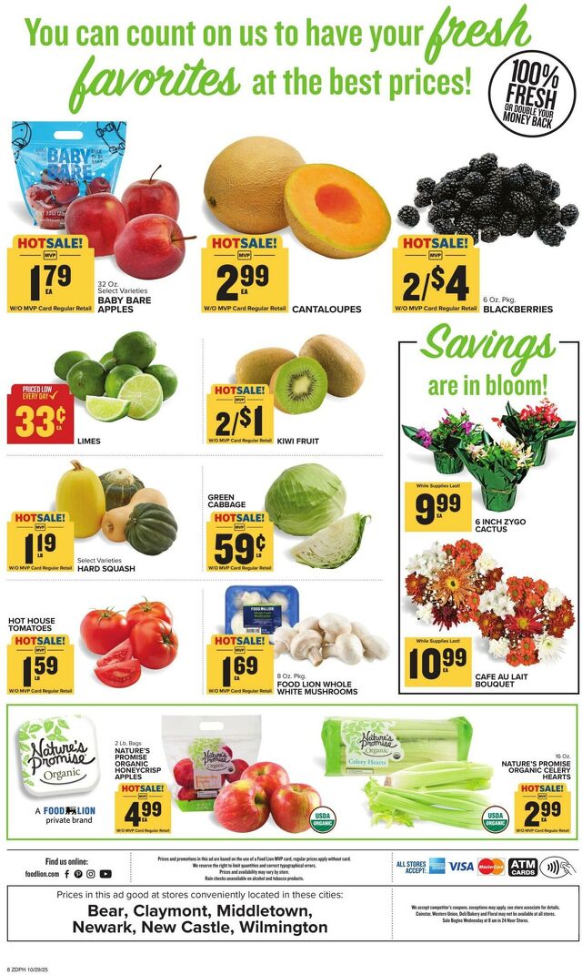 Catalogue Food Lion from 10/29/2025
