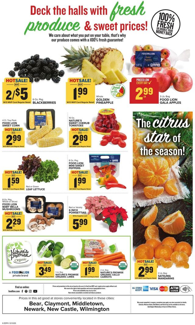 Catalogue Food Lion from 12/10/2025