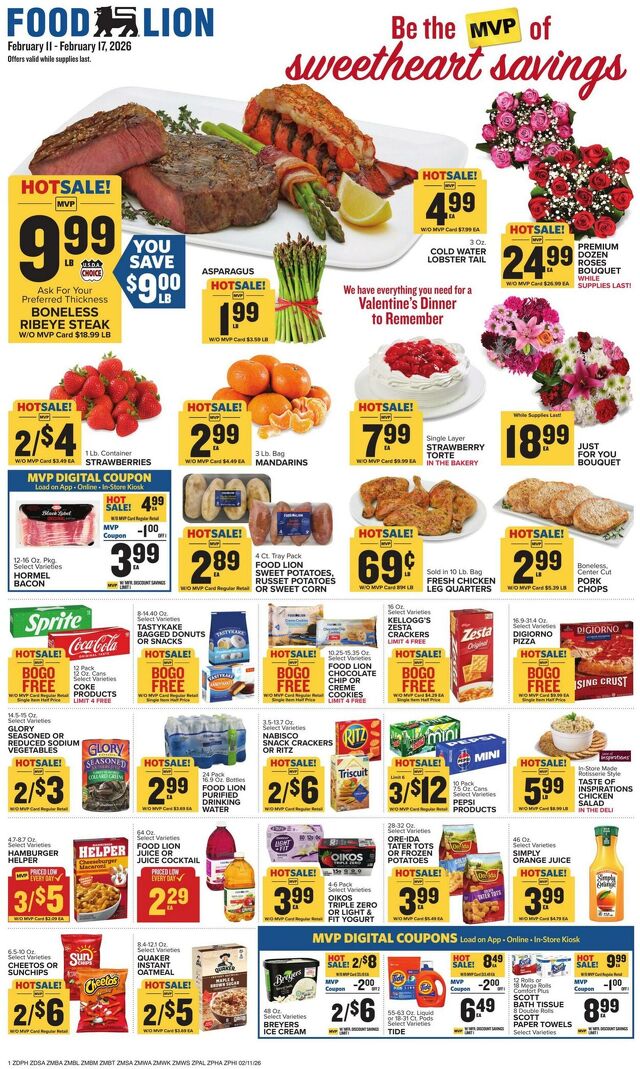 Catalogue Food Lion from 02/11/2026