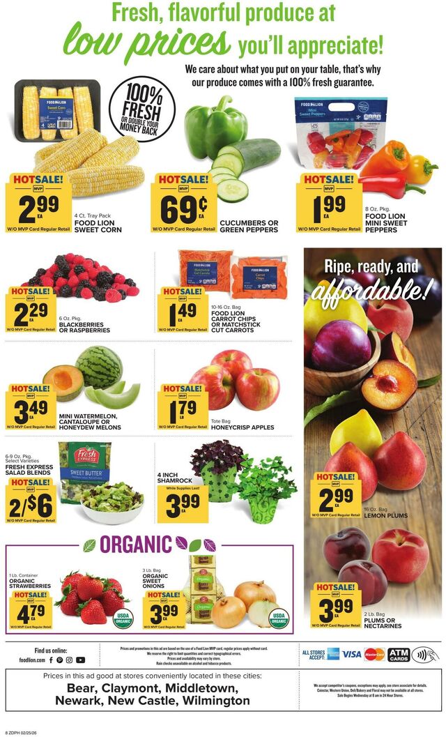 Catalogue Food Lion from 02/25/2026