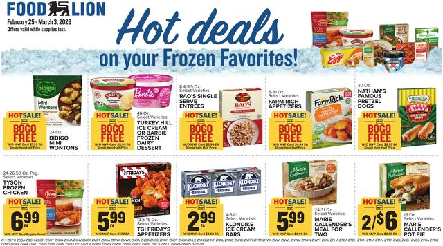 Catalogue Food Lion from 02/25/2026
