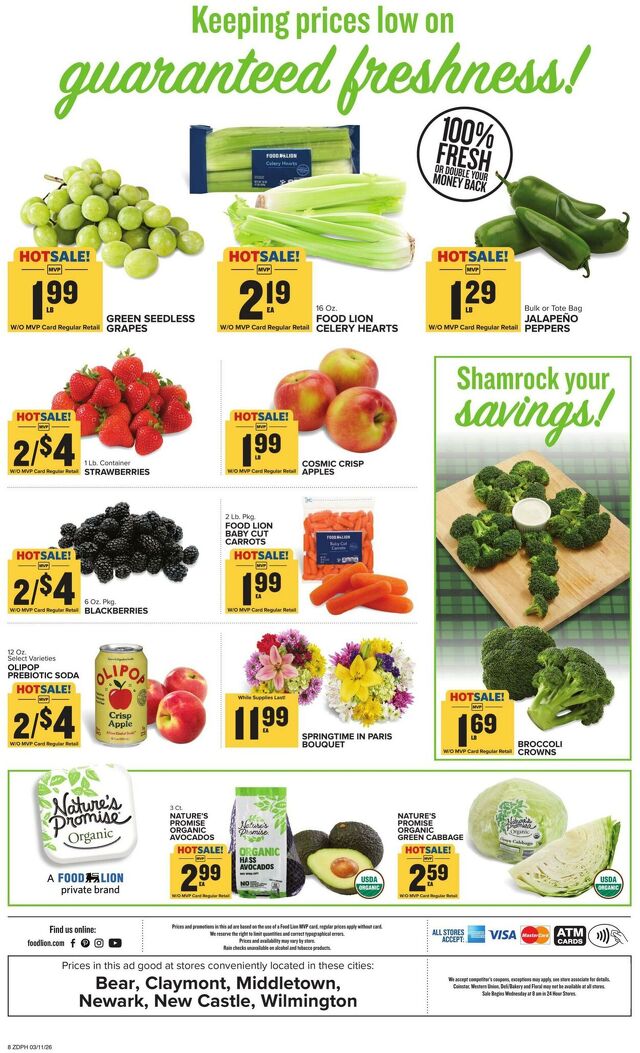 Catalogue Food Lion from 03/11/2026