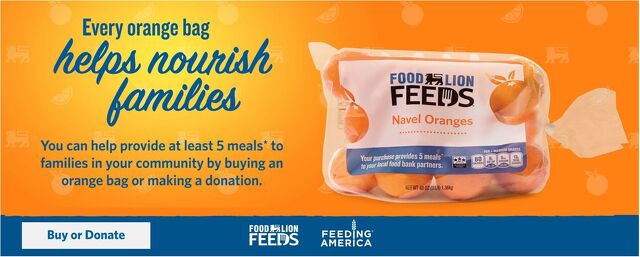 Catalogue Food Lion from 03/11/2026