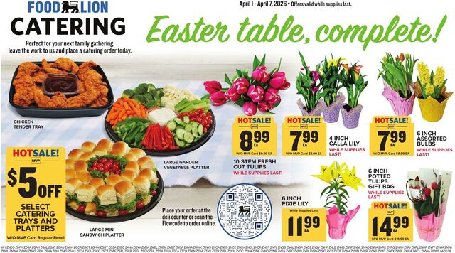 Catalogue Food Lion from 04/01/2026