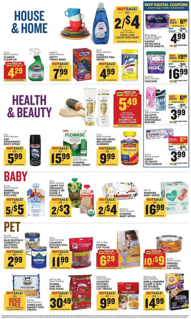 Catalogue Food Lion from 04/08/2026