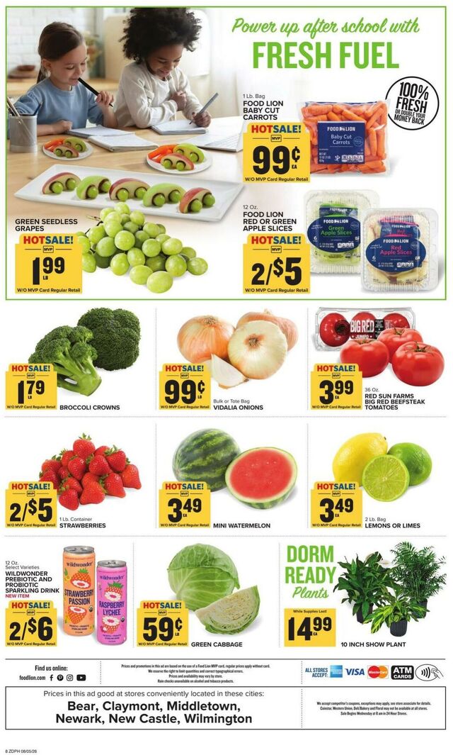 Catalogue Food Lion from 08/05/2026