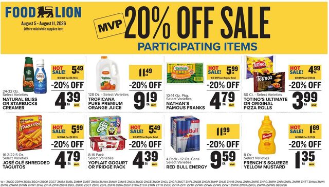 Catalogue Food Lion from 08/05/2026