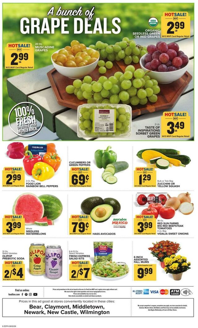 Catalogue Food Lion from 09/02/2026
