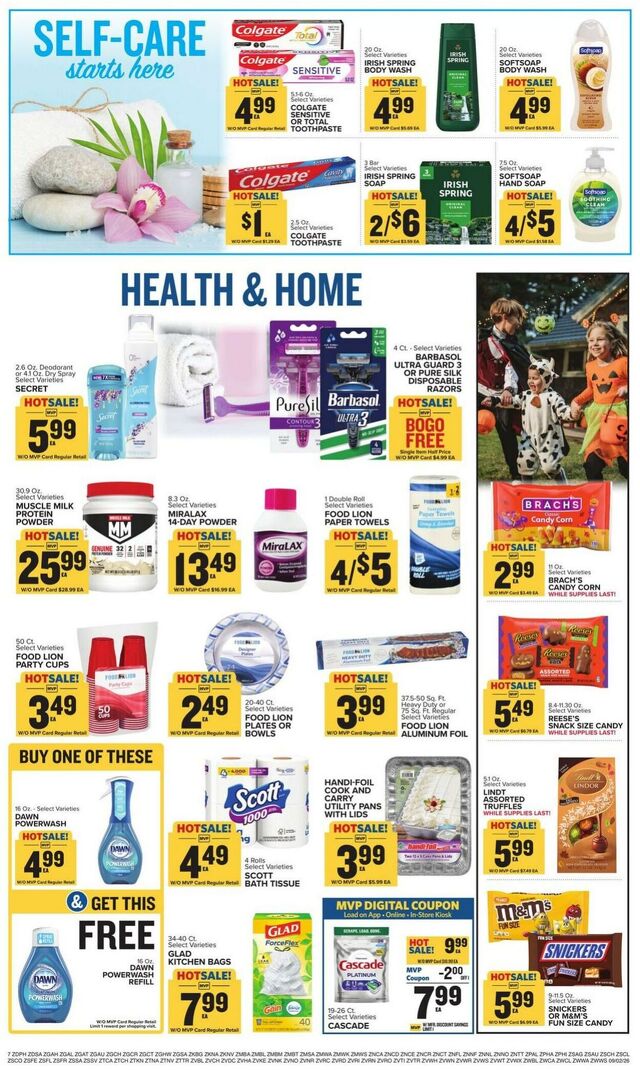 Catalogue Food Lion from 09/02/2026