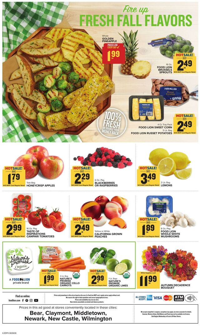 Catalogue Food Lion from 09/09/2026