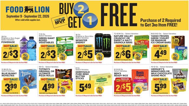 Catalogue Food Lion from 09/09/2026
