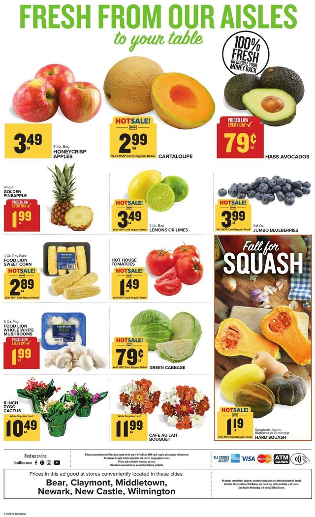Catalogue Food Lion from 10/28/2026