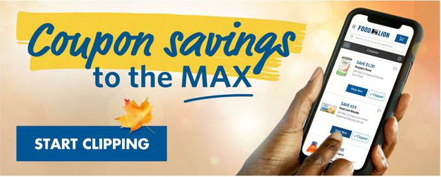 Catalogue Food Lion from 09/13/2023